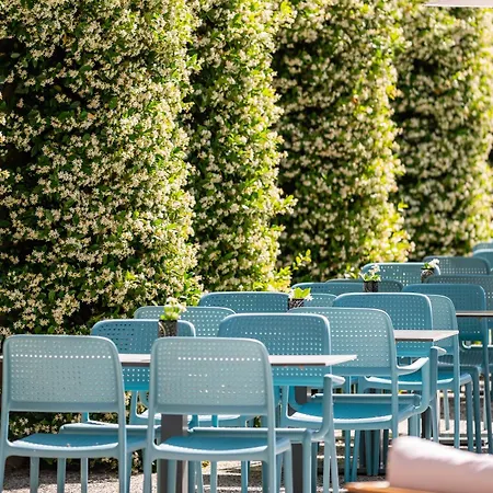 Sowell Les Chevaliers